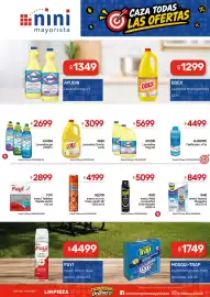 Catálogo Nini Mayorista semana 41 Página 10: Ayudin lavandina frag.x4l €5.699,00, Raid insect aerosol mosquitos €8.499,00