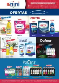 Catálogo Nini Mayorista semana 41 Página 11: Polyana antitranspirante aerosol €2.149,00