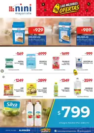 Catálogo Nini Mayorista semana 41 Página 22: Maggi puré instantáneo papas cremoso €2.899,00, Dos anclas sal fina €6.999,00