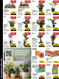 Builders Warehouse catalogue Page 4: Garden Master Vegetable/Flower/Herb Seed Packs €29,00
