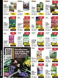 Builders Warehouse catalogue Page 6: Starke Ayres Hydrangea Food €139,00, PROTER General Fertiliser €299,00