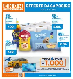 Volantino Ekom Pagina 1: Renault Zoe €1.000,00, Olio di semi di girasole Giglio Oro €1,99