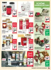 Maximarkt Flugblatt woche 41 Seite 29: Grablicht Ambrosius 5 Tage €2,99, SimPex Basic Motiv-Grablicht 3 Tage €1,99