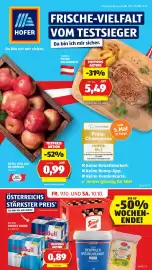 Hofer Flugblatt woche 41 Seite 1