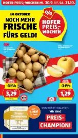 Hofer Flugblatt woche 41 Seite 8