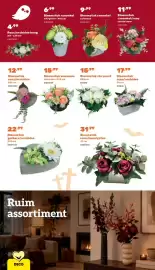 Happyland folder Pagina 10: Bloemstuk ranonkel zalmroze €9,99, Bloemstuk roos/eucalyptus €31,99