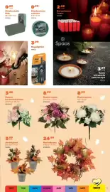 Happyland folder Pagina 11: Steekschuim blok €0,89, Herfstplant €3,99