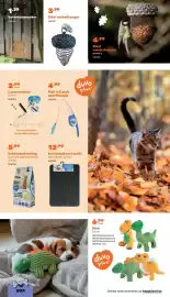 Happyland folder Pagina 16: Kattenbakmat swift €12,99, Eikel vetbolhanger €3,99