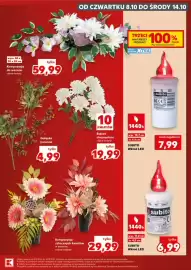 Kaufland gazetka tydzień 41 Strona 19