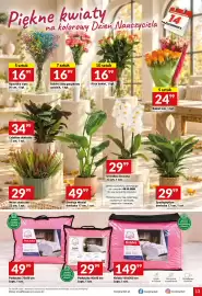 Twój Market gazetka tydzień 41 Strona 13