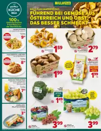 Billa Box Flugblatt woche 41 Seite 6