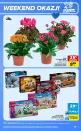 Carrefour gazetka Strona 7: Kwiat CYKLAMEN, RÓŻA, KALANCHOE €8,99
