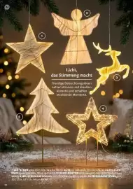 Bellaflora Flugblatt Seite 38