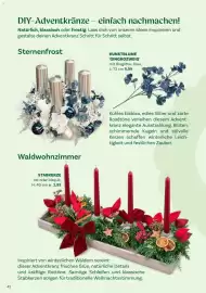 Bellaflora Flugblatt Seite 42: Kunstblume 'Ginkozweig' €5,99, Waldwohnzimmer €3,99