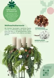 Bellaflora Flugblatt Seite 43