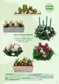 Bellaflora Flugblatt Seite 45