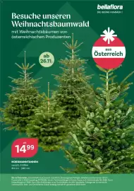 Bellaflora Flugblatt Seite 52: Nordmann-Tannen €14,99