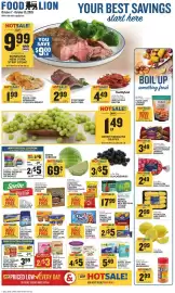 Food Lion weekly ad week 41 Page 1
