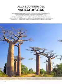 Volantino Alpitour Pagina 42