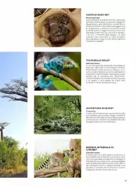 Volantino Alpitour Pagina 43