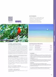 Volantino Alpitour Pagina 49