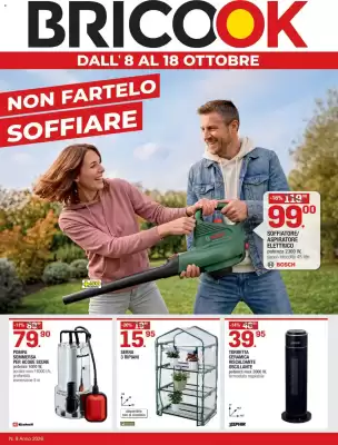 Brico OK (valido fino al 18-10)