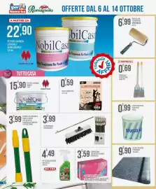 Volantino Iper Romagnolo Pagina 22: Feltro assorbi pavimenti €9,90, Guanti monouso Biosoft €3,59