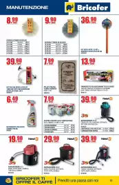 Volantino Bricofer Pagina 13: Pellet pulisci canna fumaria €7,99, Aspiracenere Newton 10 LT €29,90