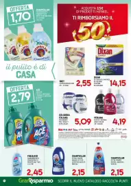 Volantino Gran Risparmio Pagina 14: Grey lacchiappacolore €2,55, Ace Gentile candeggina per colorati €2,79