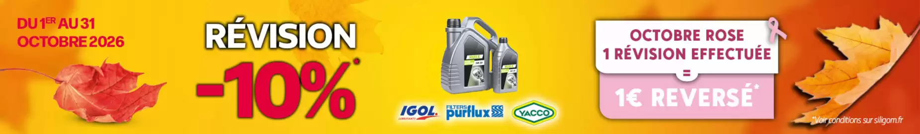 Catalogue SiliGom page 6