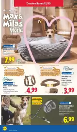 Catálogo Lidl semana 42 Página 10: Max & Mila's World Arnés €4,99, Max & Mila's World correa extensible €6,99