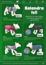 Fressnapf akciós újság Oldal 13: AniOne lilly kabát €7.499,00, Fit+fun szivárványos kötött pulóver €4.499,00