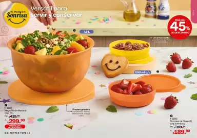Catálogo Tupperware Página 45