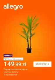 Allegro gazetka tydzień 41 Strona 1