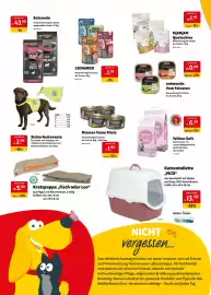 Das Futterhaus Prospekt woche 41 Seite 2: Sicherheitsweste €2,99, Kratzpappe „Fisch oder Leo“ €5,99