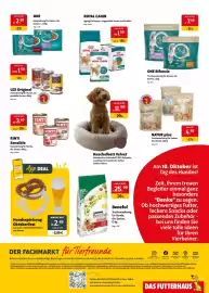 Das Futterhaus Prospekt woche 41 Seite 4: Kuschelbett Velvet €11,99, NATUR plus Trockennahrung für Katzen €4,99