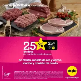 Catálogo Éxito Página 1