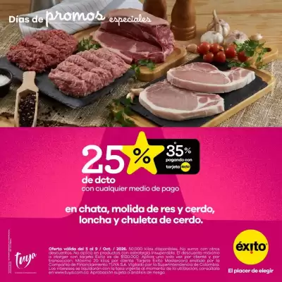 Catálogo Éxito (válido hasta 9-10)
