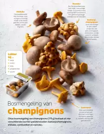 Spar magazine | Pompoen Pagina 16