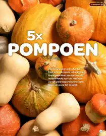 Spar magazine | Pompoen Pagina 65