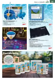 Salzburger Lagerhaus Flugblatt Seite 123: Basic Pool-Reinigungsset €49,99