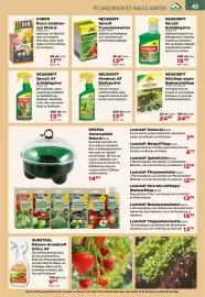 Salzburger Lagerhaus Flugblatt Seite 47: Neudorff Spruzit Trauermückenfrei €13,99, COMPO Rosen Insekten- und Pilzfrei €17,99