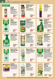 Salzburger Lagerhaus Flugblatt Seite 48: Nexa Lotte Ungezieferspray N €8,99, NEXA LOTTE Ameisen Spray €12,99