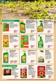 Salzburger Lagerhaus Flugblatt Seite 50: Finalsan Plus AF €17,99, Substral Celaflor Rasen-Unkrautfrei Weedex €29,99