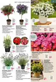 Salzburger Lagerhaus Flugblatt Seite 9: Snapdragon €3,99, Fuchsia €19,99