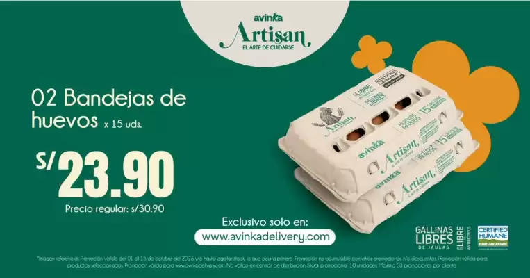 Catálogo Avinka (válido hasta 15-10)