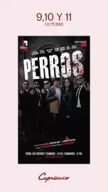 Catálogo Capriccio Página 16