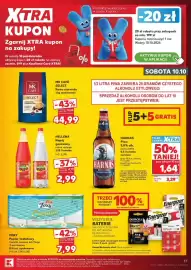 Kaufland gazetka tydzień 41 Strona 17
