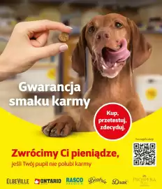 Kakadu gazetka Strona 7