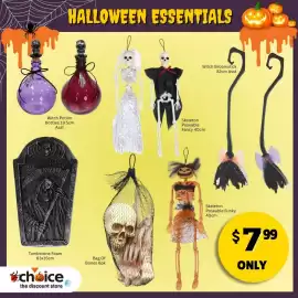 Choice The Discount Store catalogue Page 6: HALLOWEEN ESSENTIALS Witch Broomstick 82cm Asst Witch Potion Bottles 19.5cm Asst